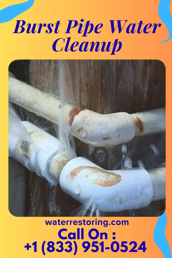 Burst Pipe Water Cleanup in Joy, IL
