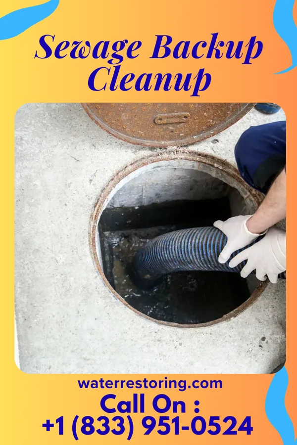 Sewage Backup Cleanup in Joy, IL